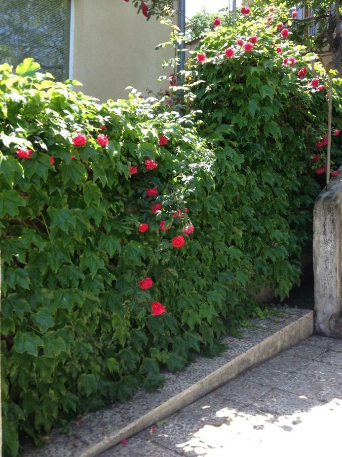 Birdhouse Rooms Tbilisi Esterno foto